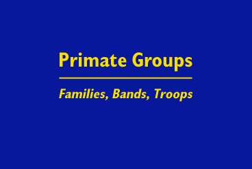 Title Slide: Primate Groups Families, Bands, Troops