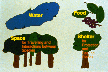 Question slide: How Do Primates Use Their Habitats?