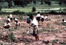 schoolchildren