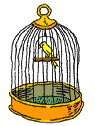 birdcage