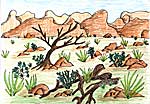 Desert: colored art