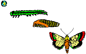 Complete metamorphosis