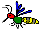 Insect