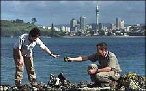 Barbara at work with Auckland in the background - Image: New Zealand Herald