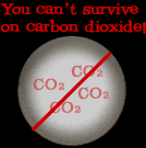 You can't survive on carbon dioxide!